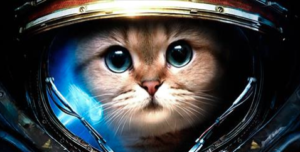 EE Space Kitteh! Stolen from eSpecBooks’ website