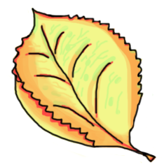 leaf1