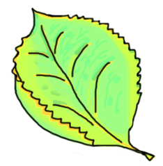 leaf4