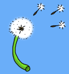 a dandelion and three seeds blowing away from it