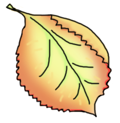 cartoon of an autumn leaf