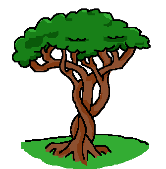 Cartoon of a tree with three braided trunks
